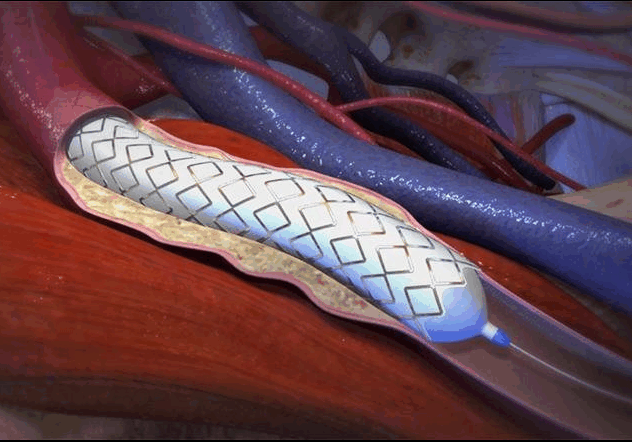 Screen Shot 2019-03-25 at 11.12.06 am